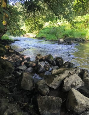 Sortie à pieds dans le couesnon - Mézières-sur-Couesnon - 30
