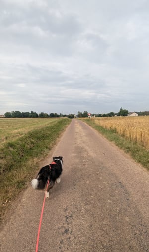 Course dans le bois de Tourville-sur-Odon - Tourville-sur-Odon - 5
