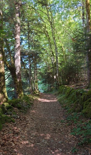 Randonnée à la cascade de Montfermy - Montfermy - 7