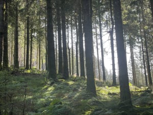 Le haut du Roc - marc - 4