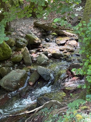 Randonnée à la cascade Struccia - Piedicroce - 32