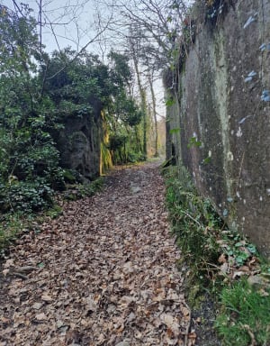 Balade autour de La Vère - Athis-Val-de-Rouvre - 9