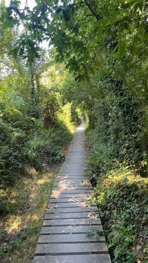 De Saint-Cado à Pont Lorois - Belz - 7