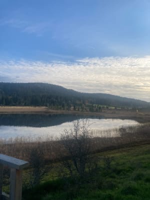 Tour du lac des Rouges-Truites - Simone - 7