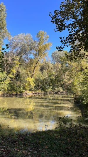 Parc des quinze sols - Beauzelle - 24