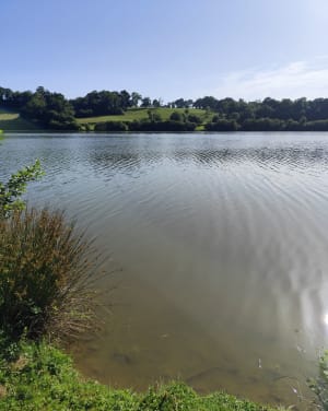 Balade au Lac du Gabas - Gardères - 3