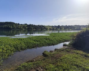 Balade au Lac du Gabas - Gardères - 4