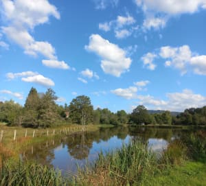 Circuit des Époissets - Écromagny - 20