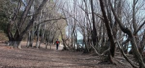 Wandeling naar de Bonde-vijver vanuit Cabrières-d'Aigues - Cabrières-d'Aigues - 10