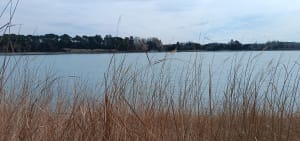Wandeling naar de Bonde-vijver vanuit Cabrières-d'Aigues - Cabrières-d'Aigues - 11