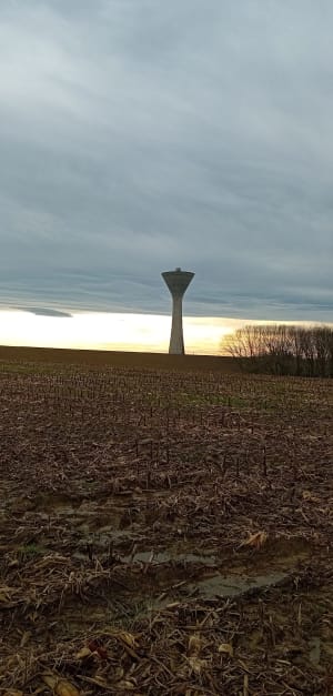 Chemin de Tort de Souslens - Castaignos-Souslens - 5
