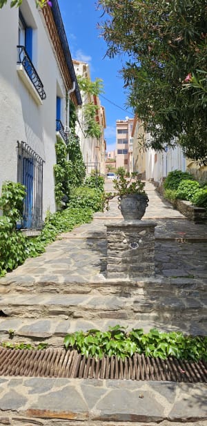 Découvrir l’illustre Aristide Maillol et Banyuls magique - Banyuls-sur-mer - 5