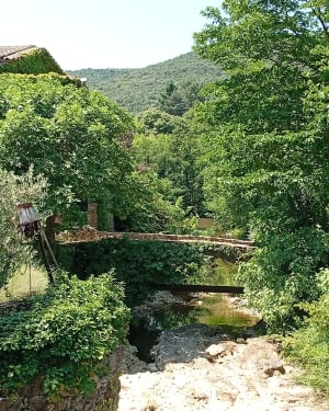 Dans les Cévennes à Mas Soubeyran et observation du sanglier - Mialet - 5