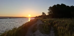 Balade dans le site naturel du Bolmon - Marignane - 6