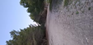 Balade dans le site naturel du Bolmon - Marignane - 8