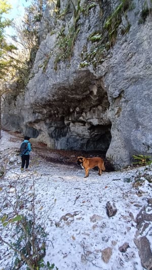 Voies de l'Epine et mise en scène du lac d'Aiguebelette - Aiguebelette-le-Lac - 15