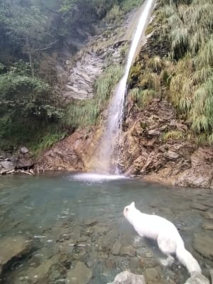 Séris-waterval en boswandeling vanuit Laruns - Laruns - 30