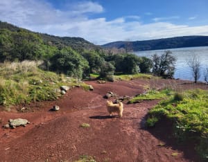 Salagou-meer: boeiende excursie naar het gehucht Vailhés - Celles - 61