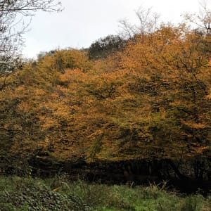 La vallée du Havre - Oudon - 28
