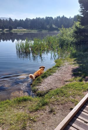 Balade du lac Calvet aux bords de la Têt - La Llagonne - 9