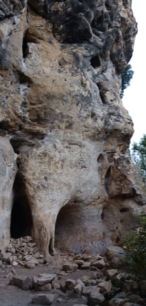 Maissoneuve vallée de Céou - Castelnaud-la-Chapelle - 38
