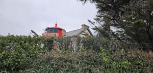 Pors-Mabo - Beg-Léguer - Trébeurden - 10