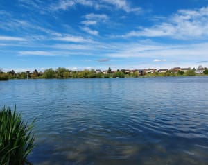 Venables Lake Tour en Vogelspotten - Les Trois Lacs - 3