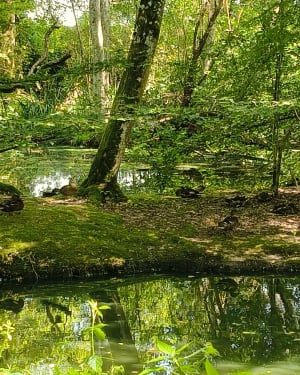 Balade en bord de Loire à Guilly - Guilly - 7