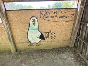 Randonnée de la Marque et Marais de Bonnance - Fretin - 6