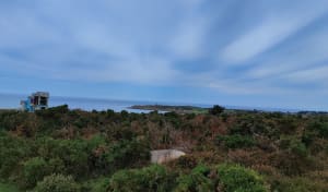 Sur les traces de notre histoire, landes et littoral Cotentin - Fermanville - 12