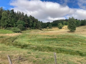 Balade autour du Panis et le Moulin de Vazeilles - Guillaume - 4