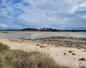 Tour de l'île grande. - Trébeurden - 36