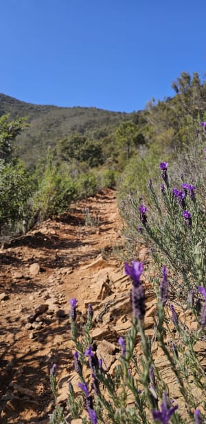 Col de l'évêque depuis pointe de Maubois - Saint-Raphaël - 3