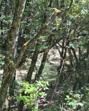 Les Sources de l'Huveaune - Saint-Zacharie - 6
