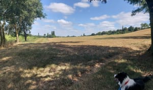 Rando autour de Mauzac et Noé - Noe - 6