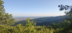 Sur les traces du passé en forêt autour de Wattwiller - Wattwiller - 3