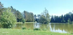 Aspach-Illfurth par le circuit de 14/18 - Isabelle - 7