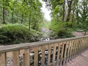 Promenade en forêt de Maurepas et Bassin de la Courance - Jouars-Pontchartrain - 7