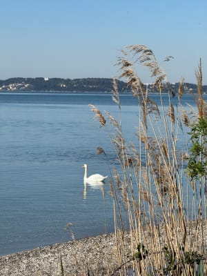 La petite Camargue à St Chamas - veronique - 8