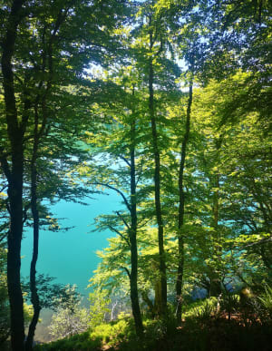 Meer Pavin, Puy Montchal en meer Estivadoux - Besse-et-Saint-Anastaise - 39