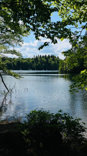 Boucle du Lac de Pierre-Percée, et Roche des Corbeaux - Pexonne - 50