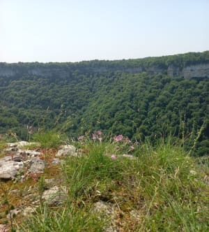 Petite aventure forestière à la Croix de Suchot de Baume-les-Messieurs - Baume-les-Messieurs - 13