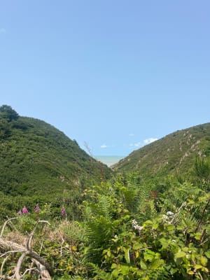 Promenade dans la vallée du Lude - Carolles - 25