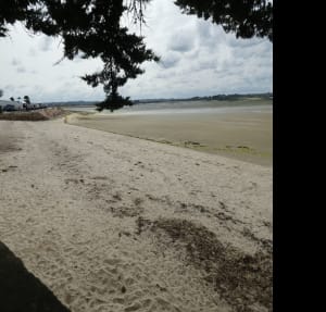Entre terre et mer dans la Baie de Morlaix - Saint-Pol-de-Léon - 4