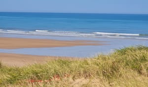 A la recherche du menhir à Olonne sur Mer - Olonne sur Mer - 8