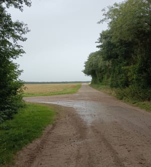 Belle balade sur St Josse - Saint-Josse - 13