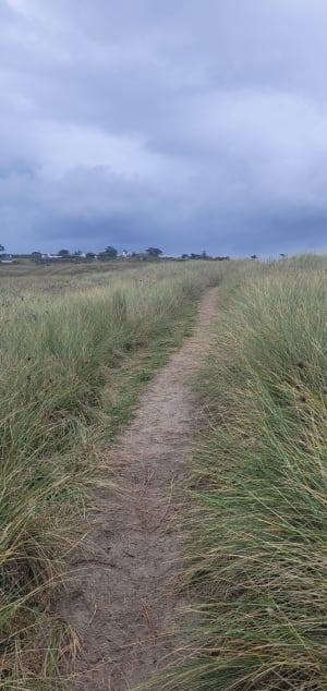 Grand tour de l'île de Batz et beauté de ses plages - Île de Batz - 80