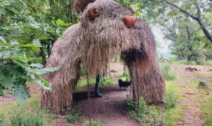Land'art, le Tacot, voyage éphémère - Brigitte - 9