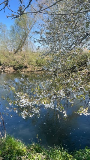 Geudertheim et amour d'itinéraire le long d'une rivière - Laura - 5