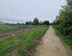 Chemin de halage entre Bezons et Chatou - Sabrina - 3